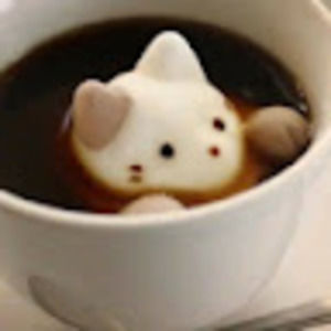 Meet your Posher, Erah